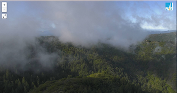 Mountain with fog image from one of AlertWildfire camera